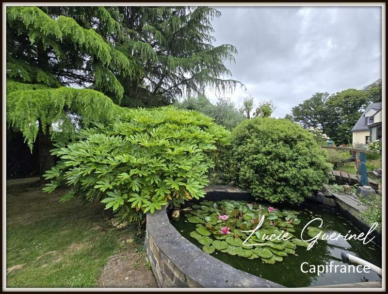 Maison à CHATEAUBRIANT