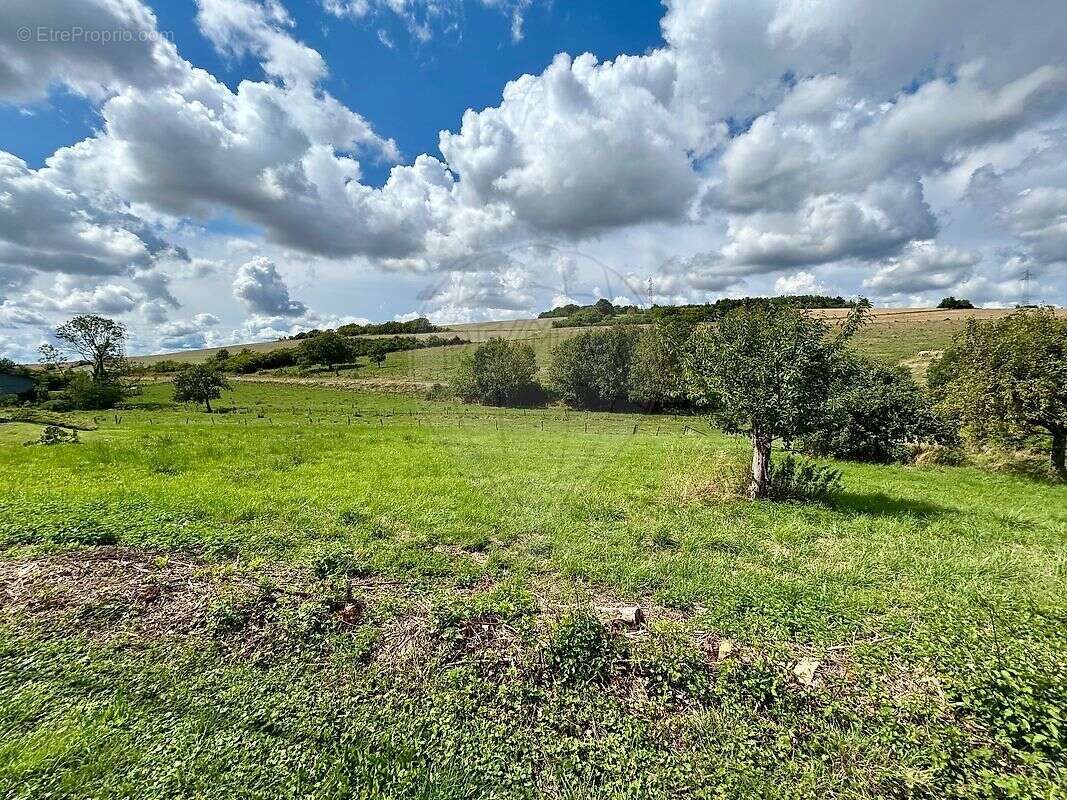 Terrain à SENONCOURT-LES-MAUJOUY