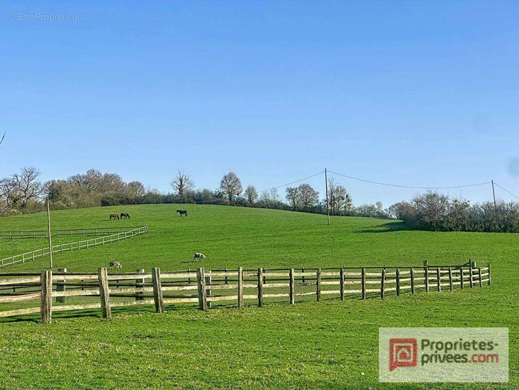 Maison de plain-pied rénovée avec suite parentale, spa de nage et vue sur les chevaux ? À 15 min de Deauville - photo 5