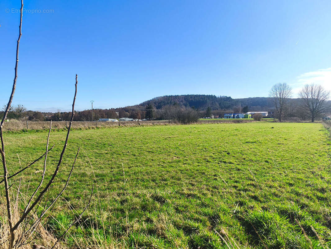 Terrain à HARGARTEN-AUX-MINES