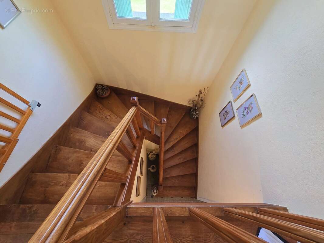 Propriété avec 2 maisons , dépendances et 1 hectare de terrain - photo 10