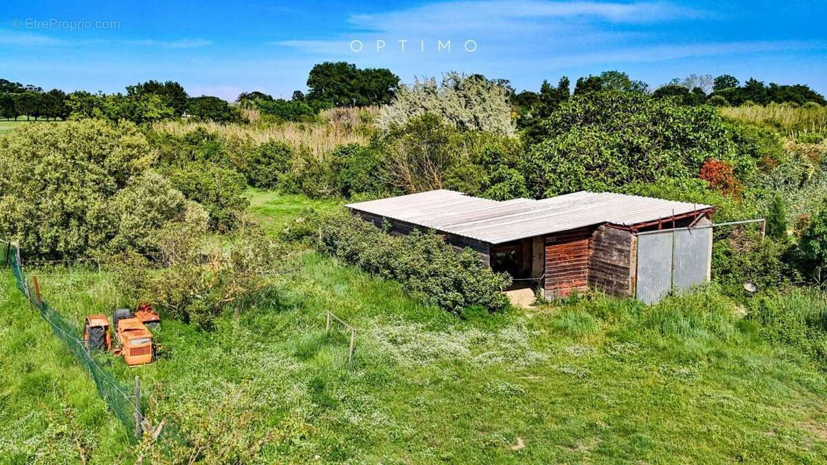 Terrain à SAINT-CYPRIEN