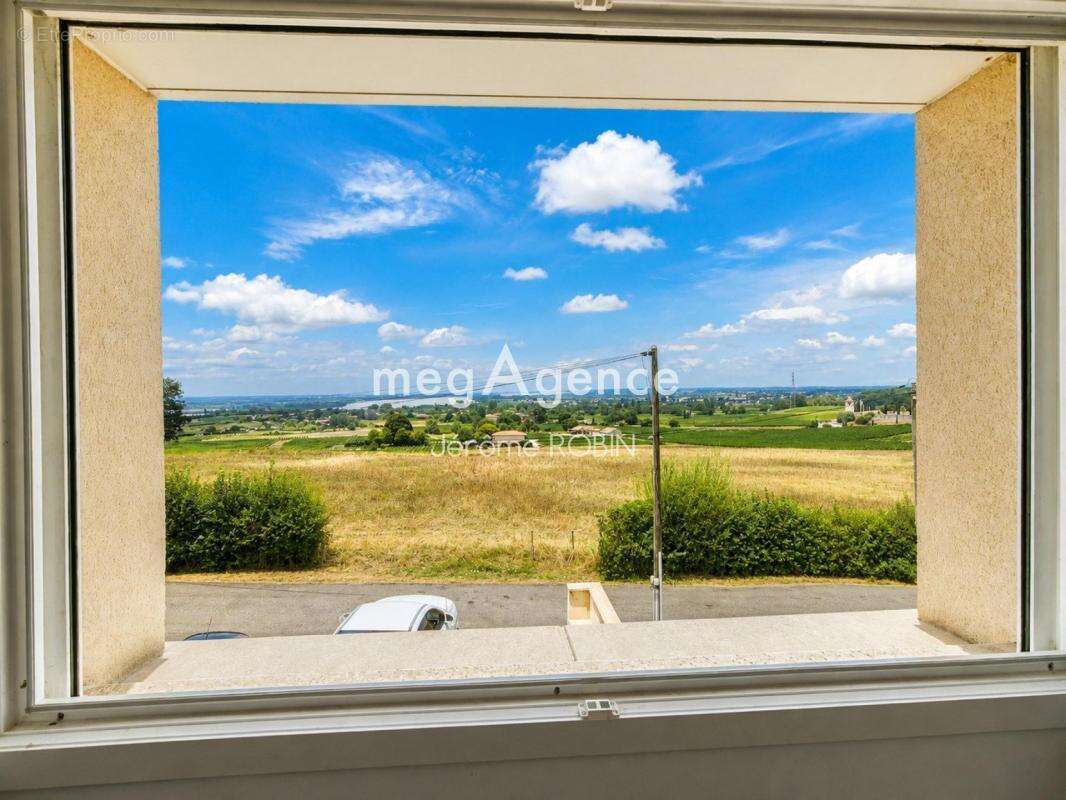 Maison 4 chambres avec vue exceptionnelle sur la Dordogne - photo 8