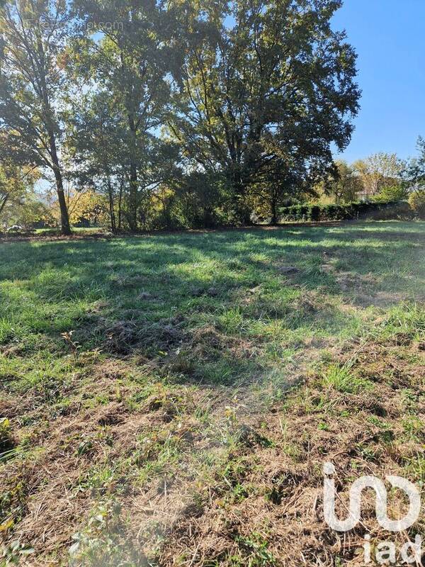 Photo 1 - Terrain à TERRASSON-LAVILLEDIEU