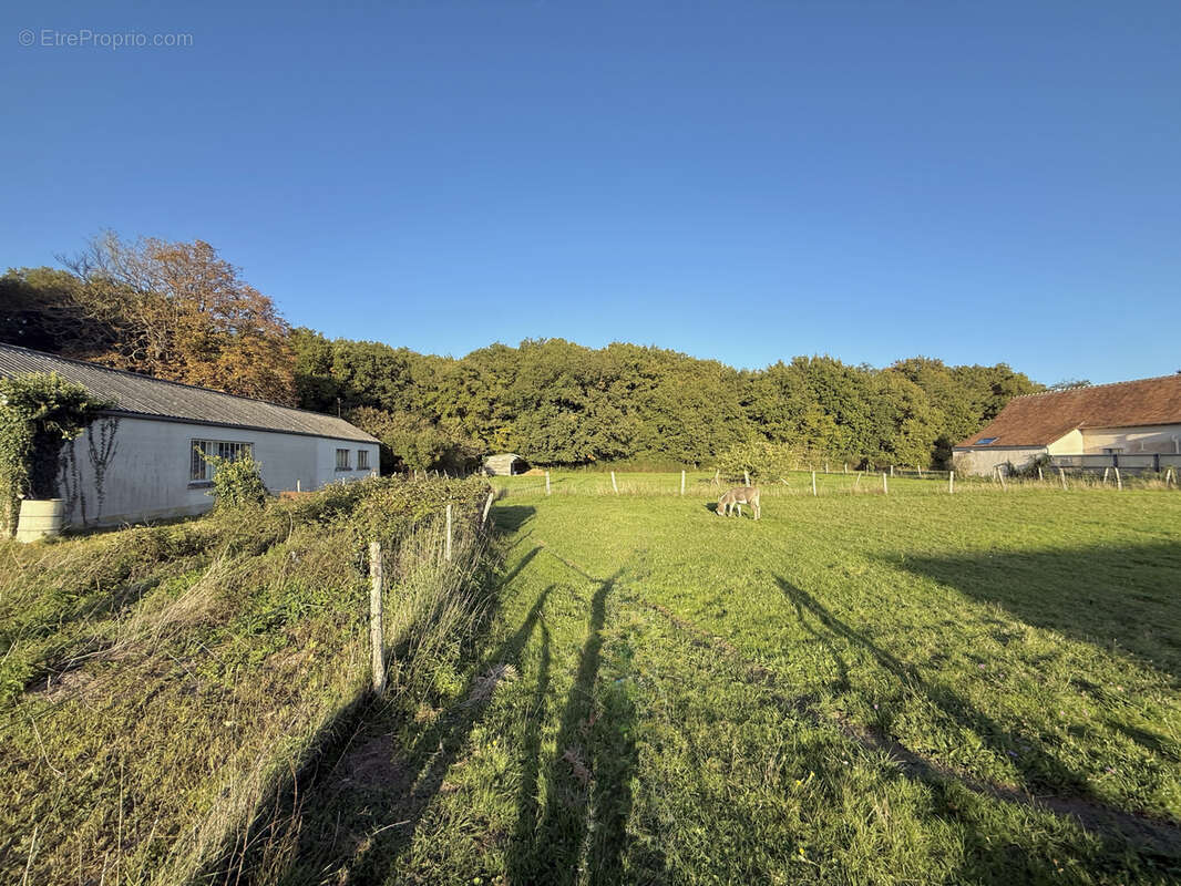 Maison à CHAUMONT-SUR-LOIRE