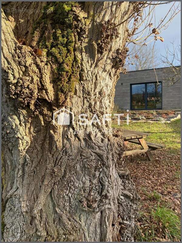Photo 6 - Maison à SAINT-ETIENNE-DE-TULMONT