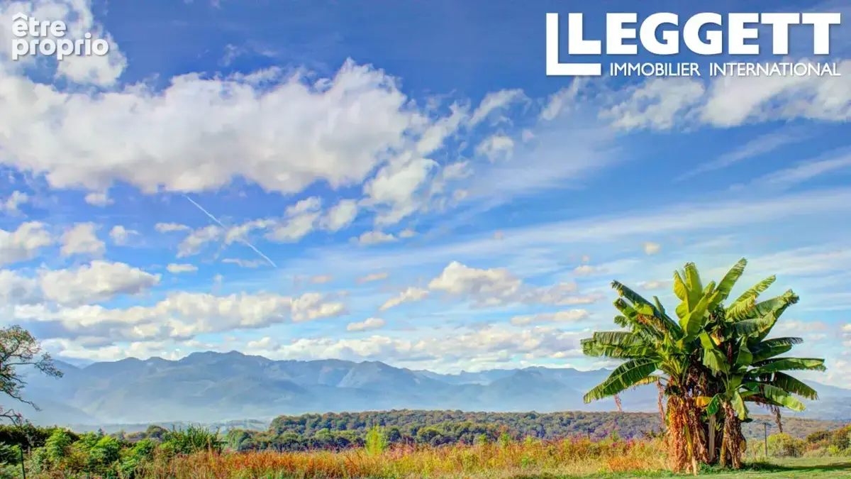 Superbe maison de campagne + 2 gîtes + 3 b&b + espace spa + piscine + parc 3ha + vue pyrénées époustouflante! - photo 10