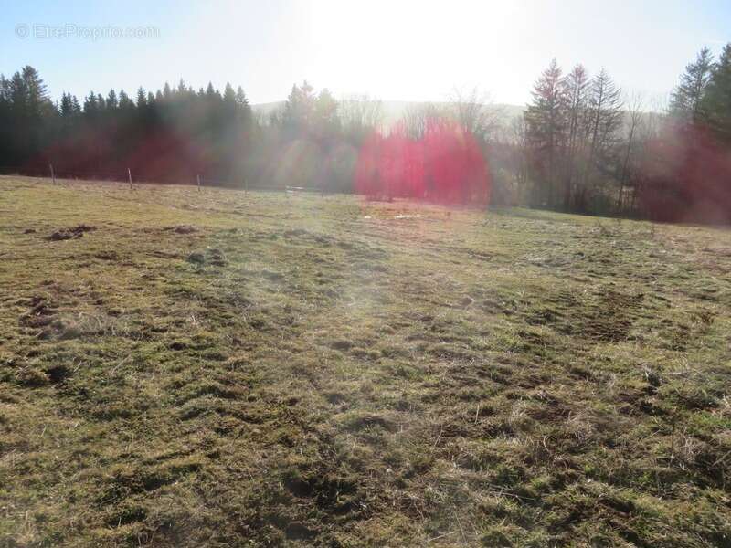 Terrain à HAUTEVILLE-LOMPNES