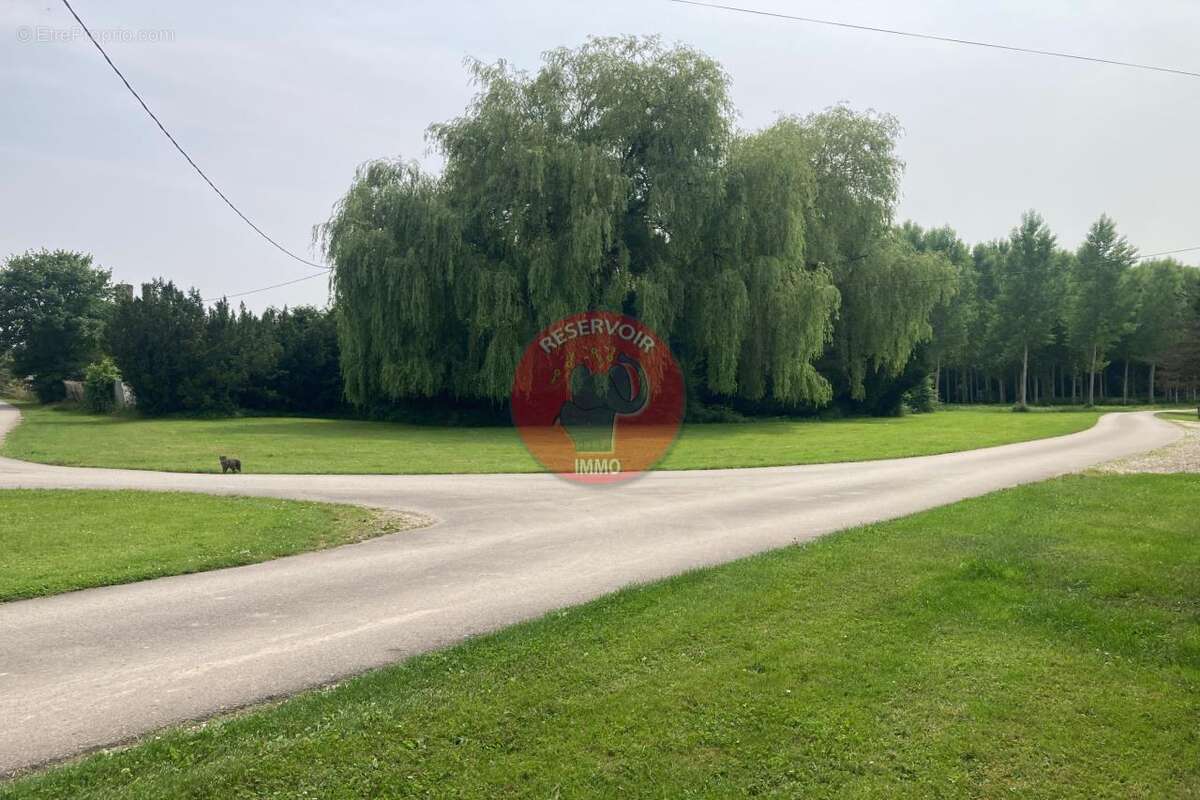 Terrain à SAINT-SAUVEUR