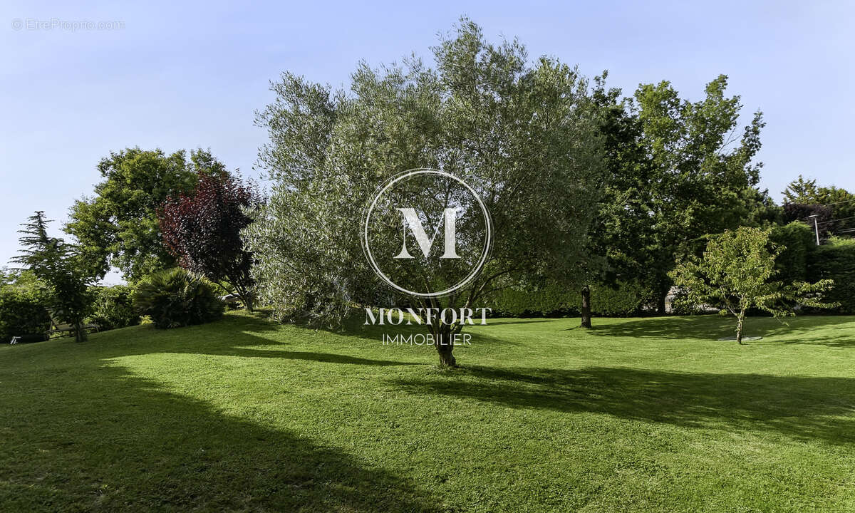 Maison à MONTRABE