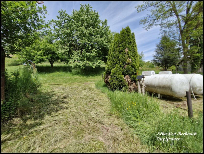 Maison à vendre 8 pièces BREIDENBACH (57) - photo 14