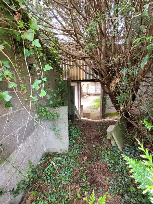 Terrain à TREBEURDEN