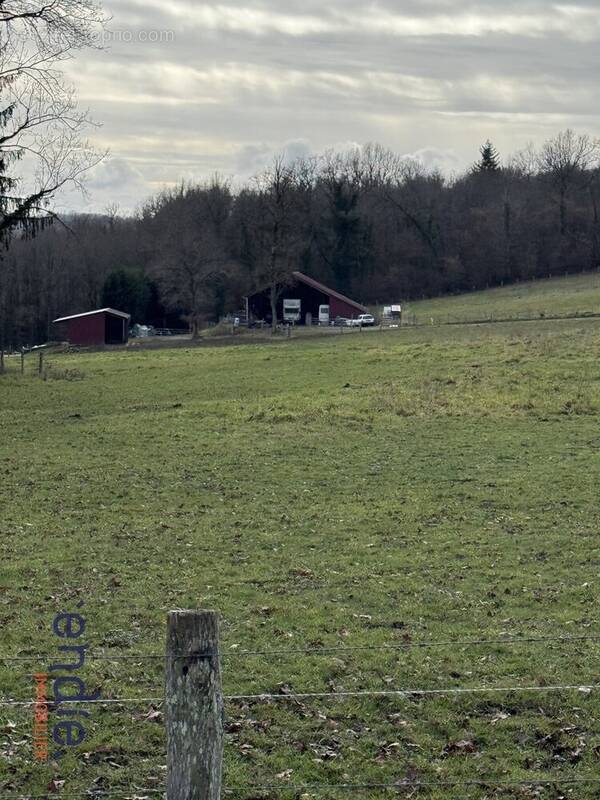 Terrain à CHAILLAC-SUR-VIENNE