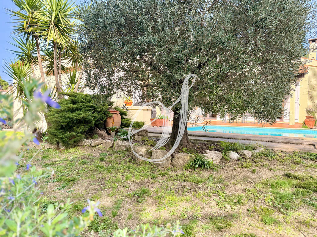 Maison à MONTPELLIER