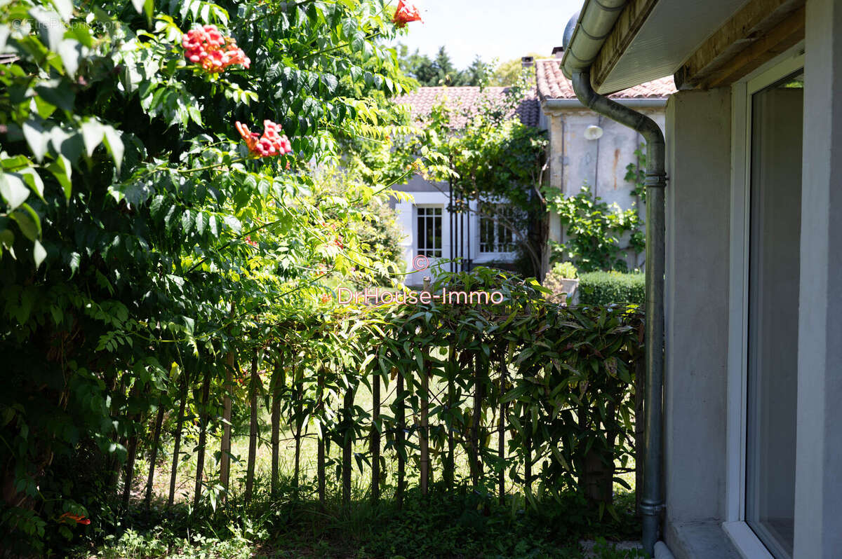 Maison 600 m² à Saint-Emilion  - photo 52