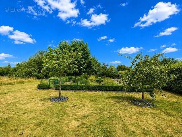 Maison 122 m² à Lassigny  - photo 4