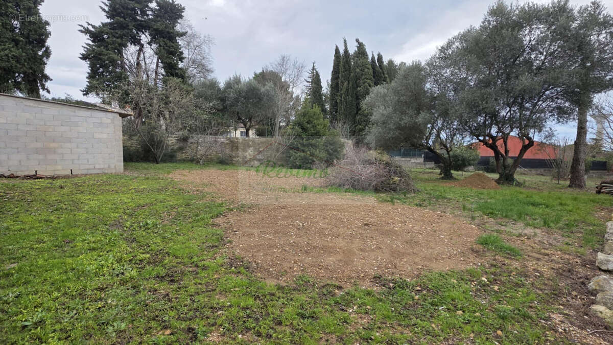 Terrain à SATURARGUES