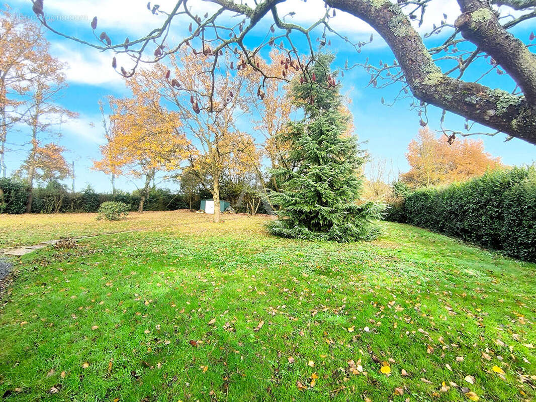 Maison à CHAMBELLAY