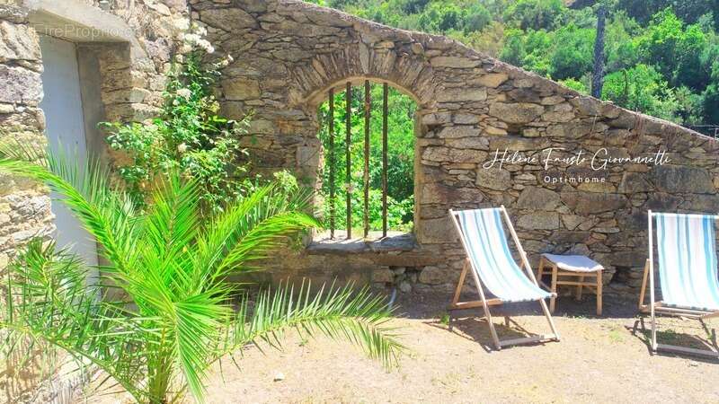 Ancien Moulin en Pierre avec dépendances sur près de 2,3 hectares – Santo-Pietro-di-Tenda - photo 39