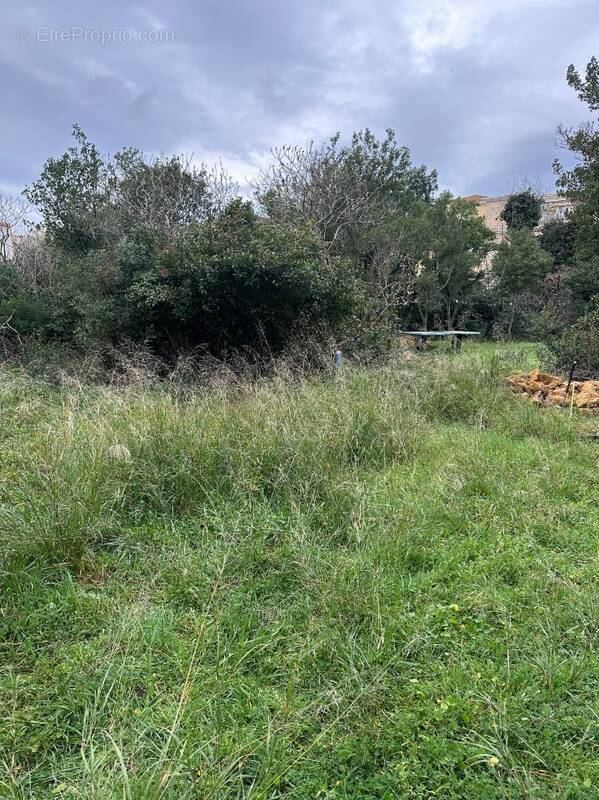 Terrain à MARSEILLE-12E