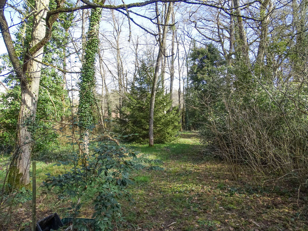 Maison à VILLEFRANCHE-SUR-CHER