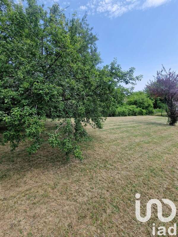 Photo 2 - Terrain à AUXERRE