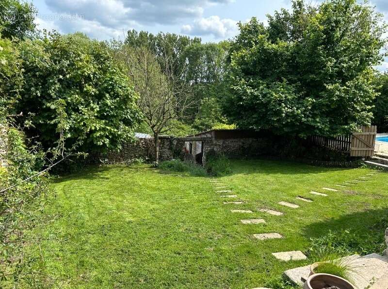 Maison, dépendances, grand terrain - photo 12