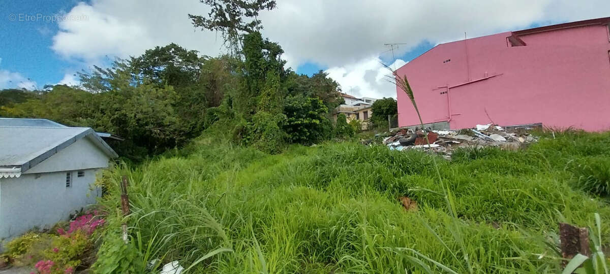 Terrain à FORT-DE-FRANCE