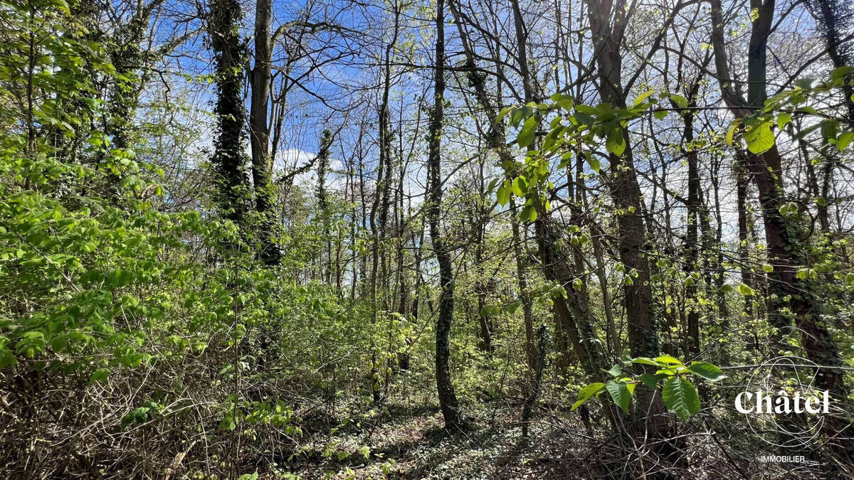 Terrain à GOUVIEUX