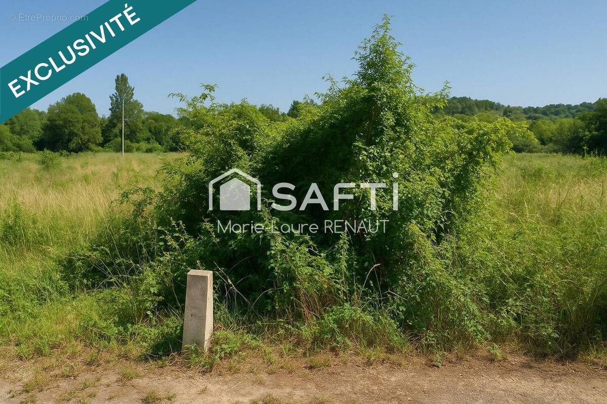 Photo 1 - Terrain à GRAULHET