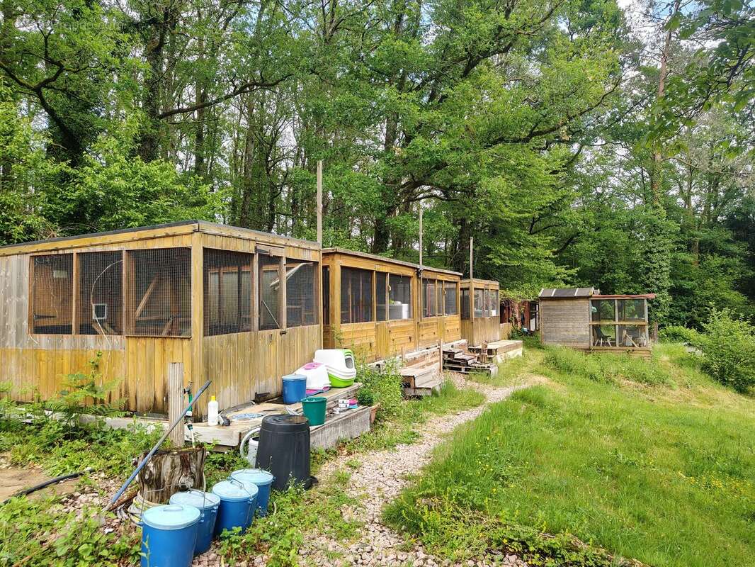 Maisonnette avec 2 étangs - photo 15