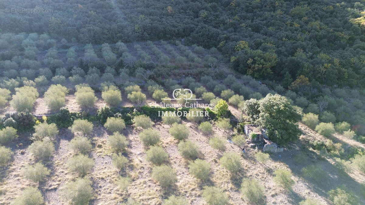 Terrain à SAINT-PAUL-DE-FENOUILLET