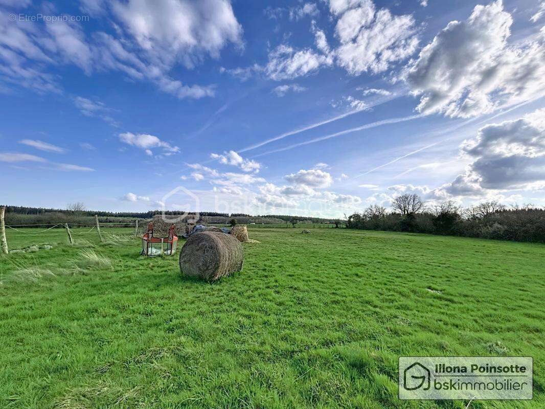Maison à LA ROCHE-EN-BRENIL