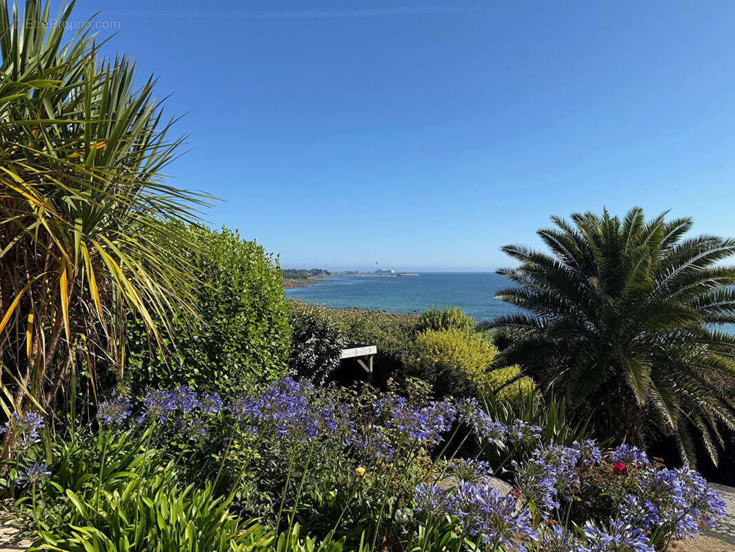 Maison à SAINT-POL-DE-LEON