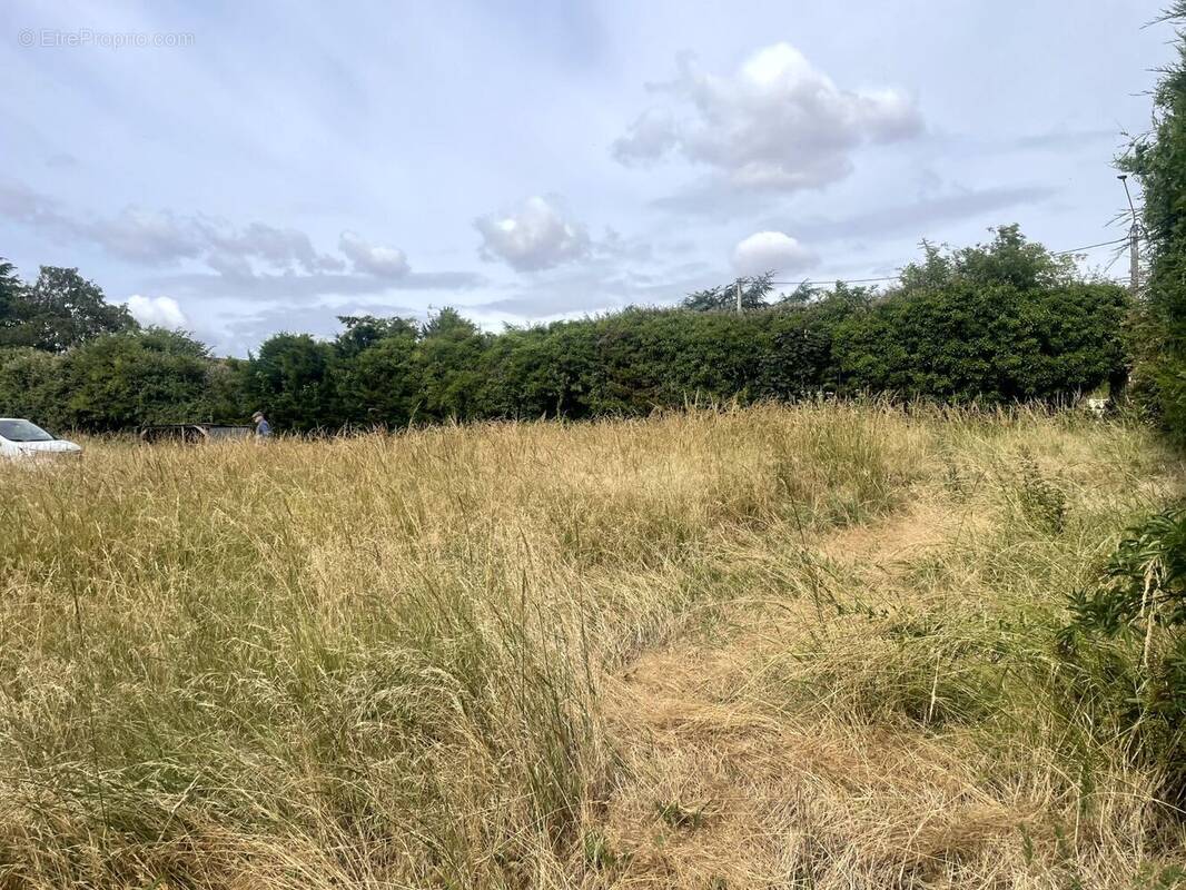 Terrain à NAINTRE