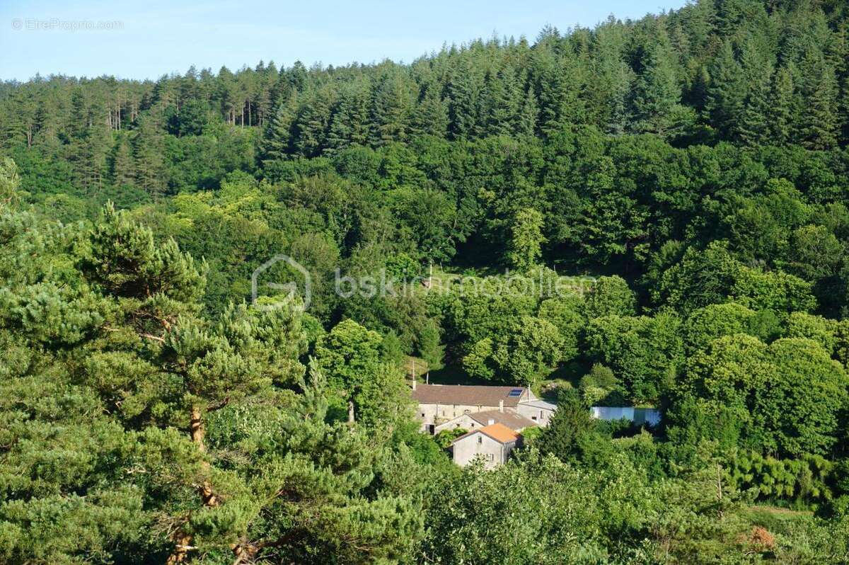 Propriété de caractère nichée au coeur de la Montagne Noire- Parc Naturel du Haut-Languedoc - photo 17