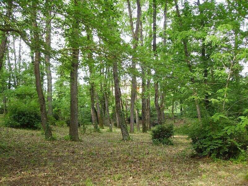 Terrain à BRUGUIERES