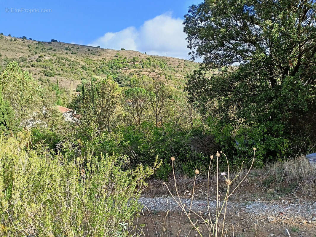 Terrain à MAGRIE