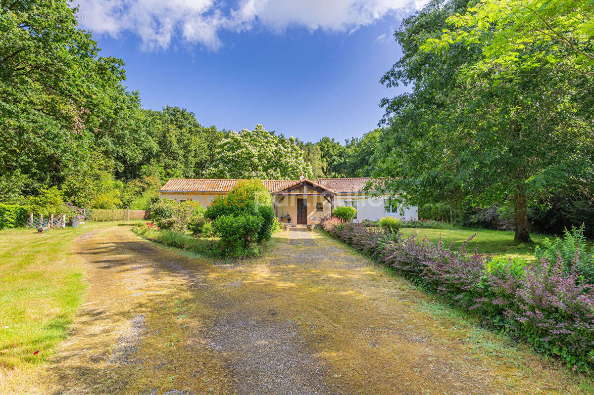 La chevrolière -- le pont du gui -- plain pied 123m² -- grand jardin 3000m² - photo 9