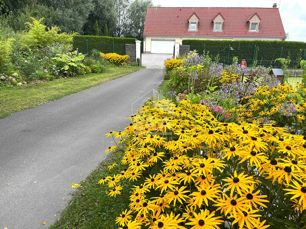 Maison à SAINT-JOSSE