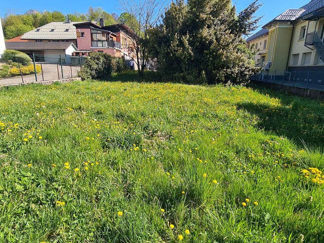 Terrain à FRONTENEX