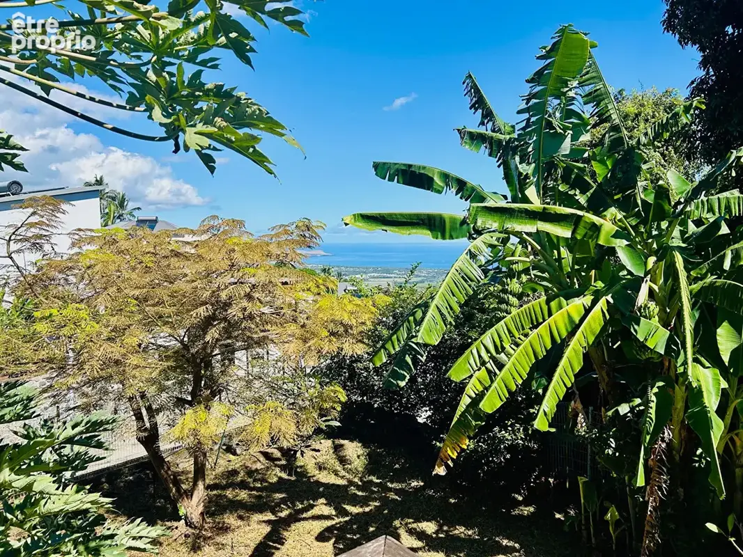 À vendre sur la POSSESSION - Maison avec annexe indépendante sur terrain de 555 m² - photo 4