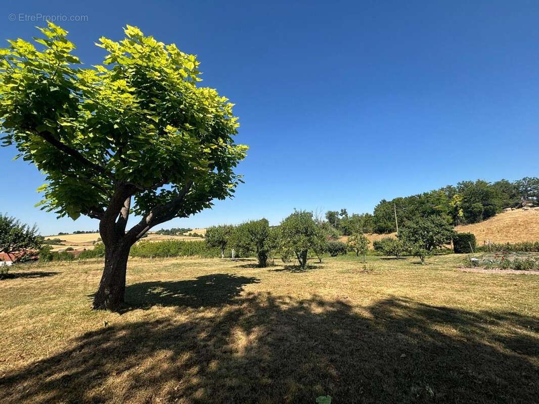 Maison 153 m² à Trezelles  - photo 3