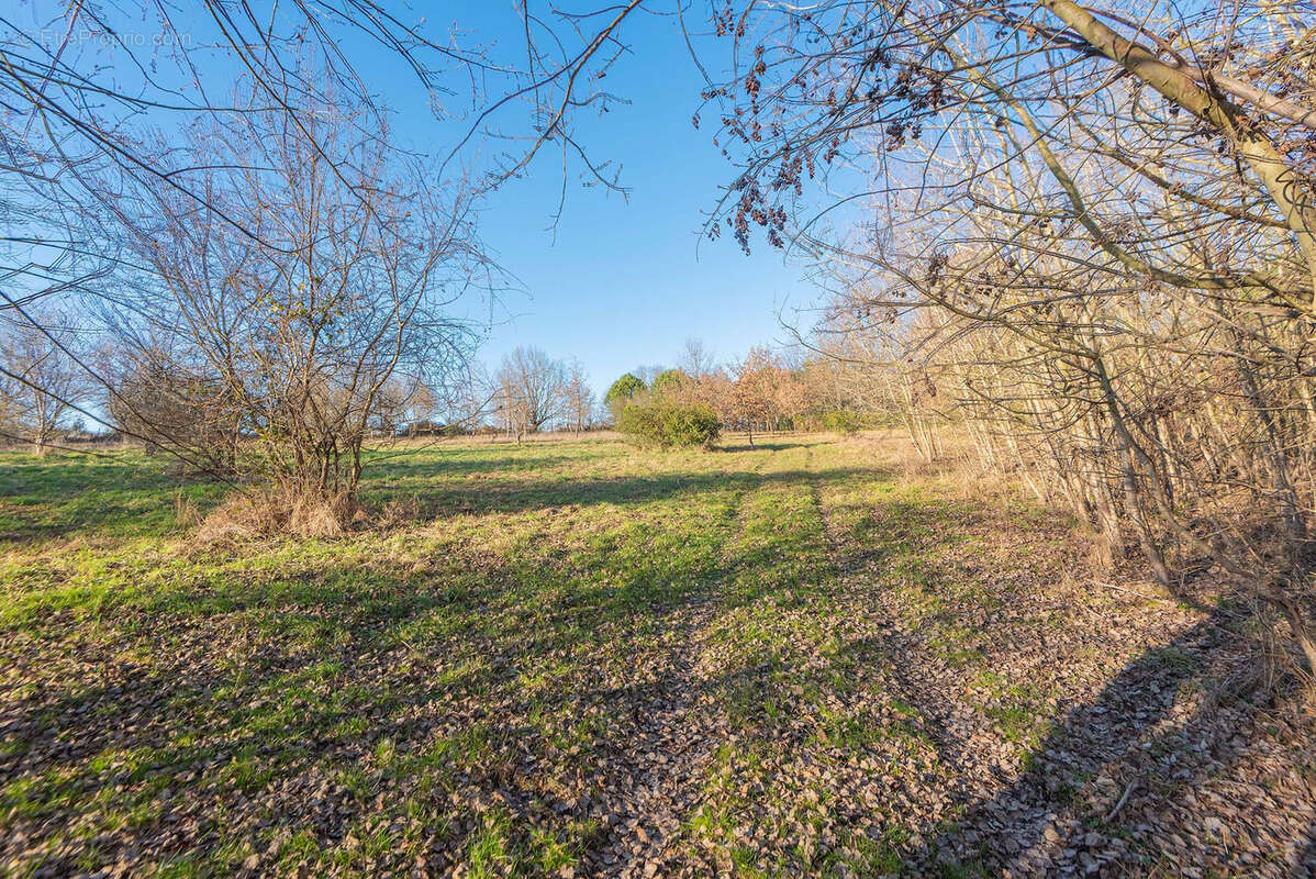 Proche commerces - maison 5 chambres - 250 m2 - sur 7.55 ha - photo 19