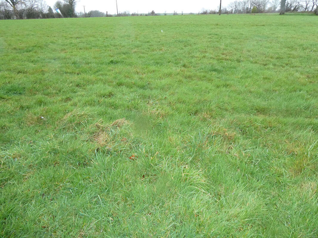 Maison à PARIGNE-SUR-BRAYE