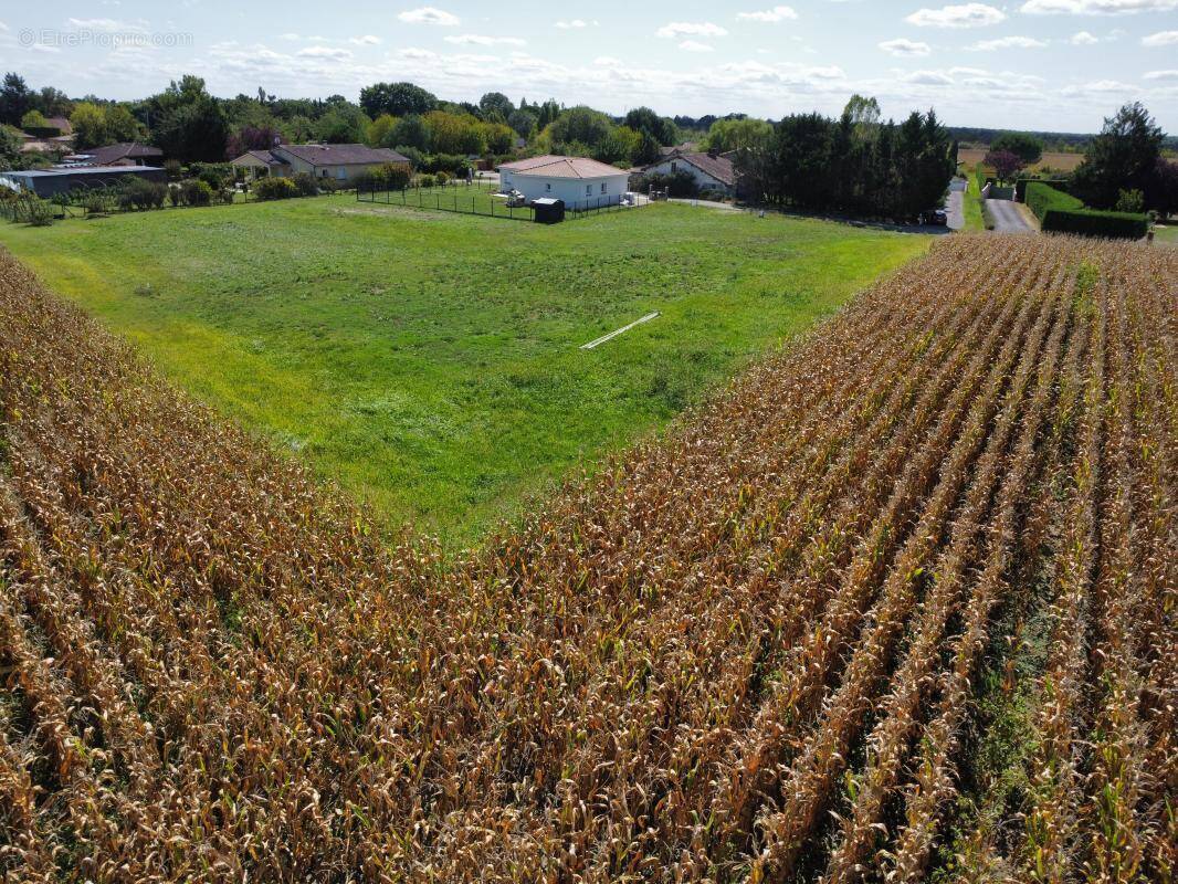 Terrain à LA VILLE-DIEU-DU-TEMPLE