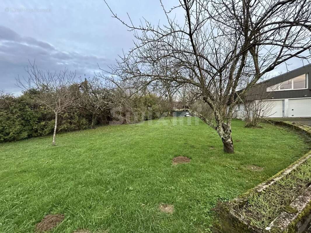 Maison à BLETTERANS