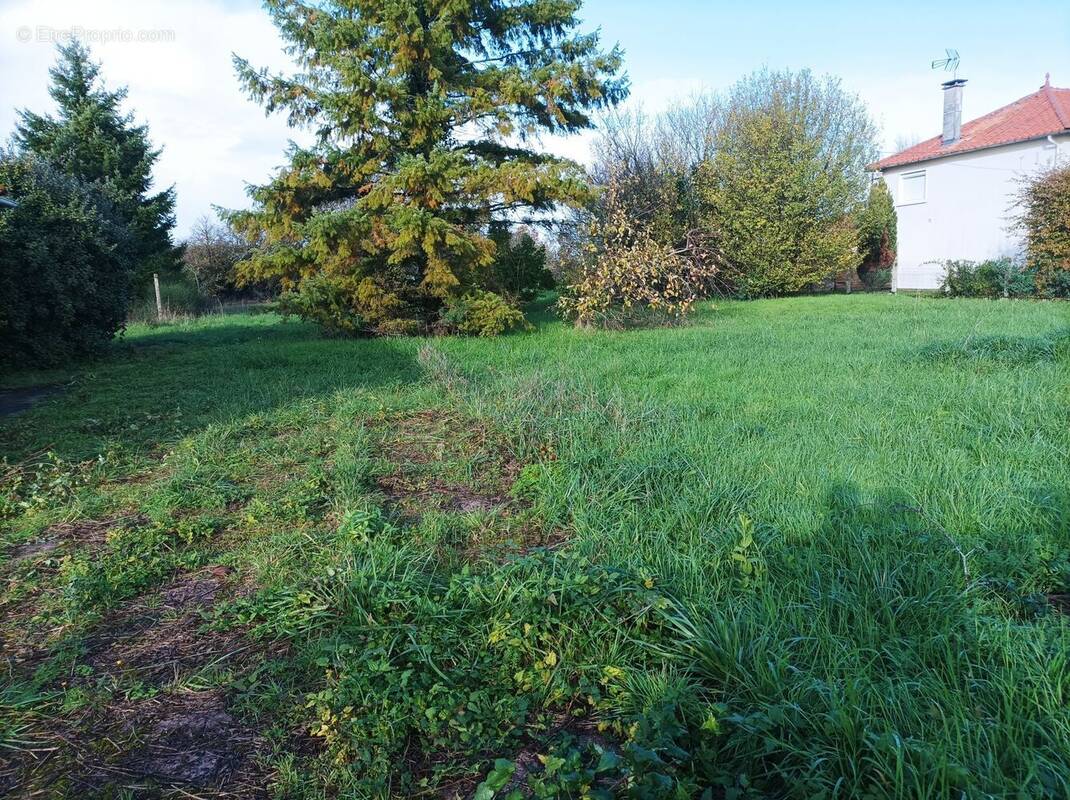 Terrain à RUELLE-SUR-TOUVRE