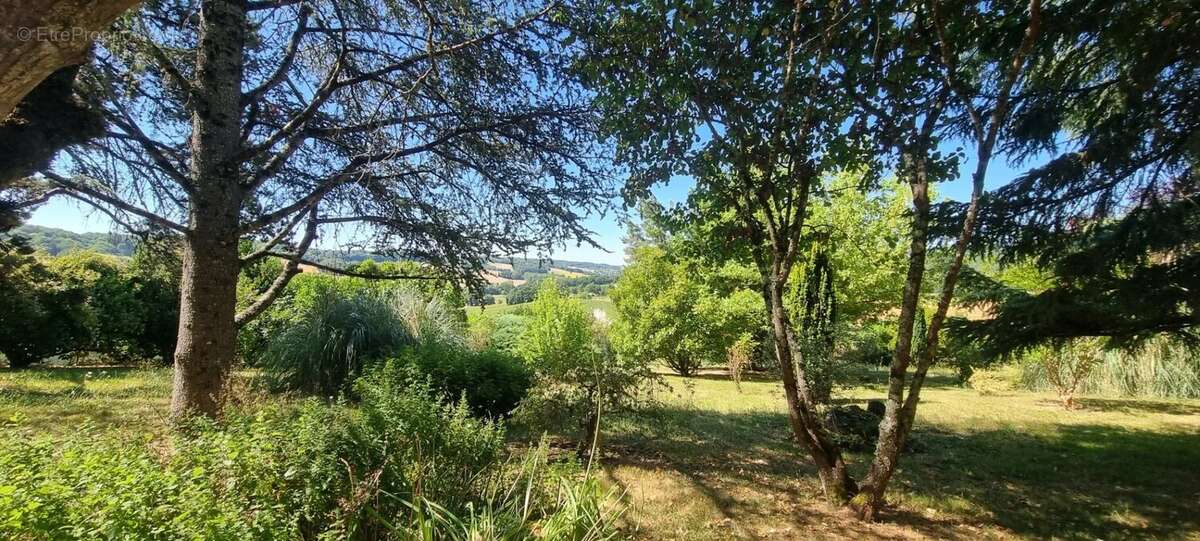 Maison à CASTELNAU-MONTRATIER