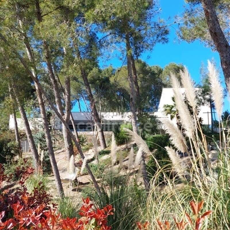 Maison à MONTPELLIER